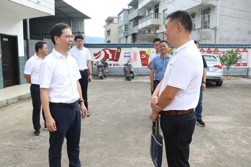 县领导赴东桥镇调研乡村振兴工作