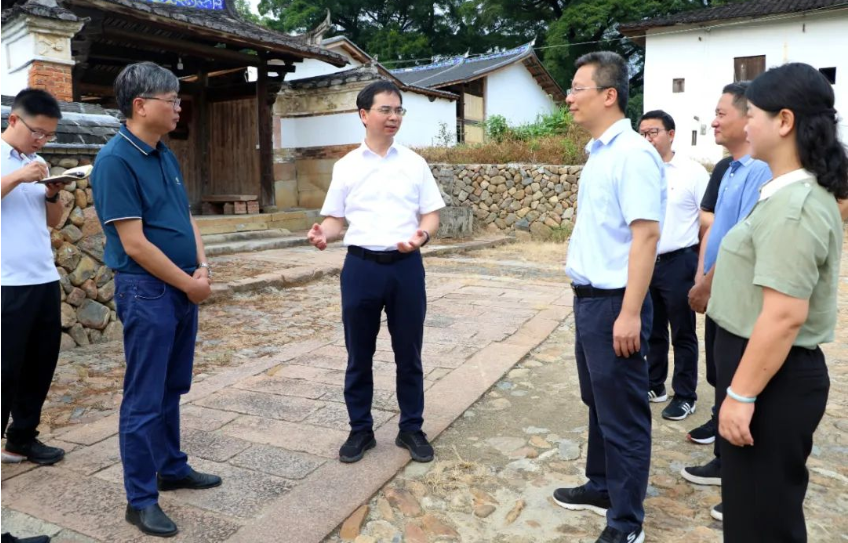 县领导赴东桥镇调研乡村振兴工作