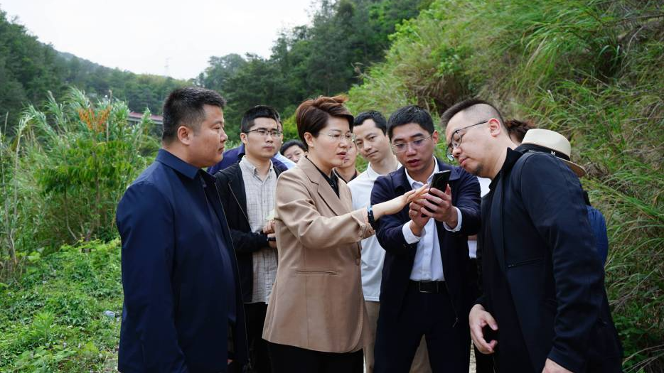 县政府主要领导赴雄江镇开展项目调研暨水口库区巡河活动 