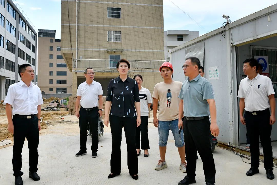 县政府主要领导赴坂东镇开展工作调研