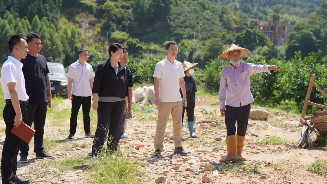 守红线 保粮安 创品牌 县政府主要领导调研农业龙头企业