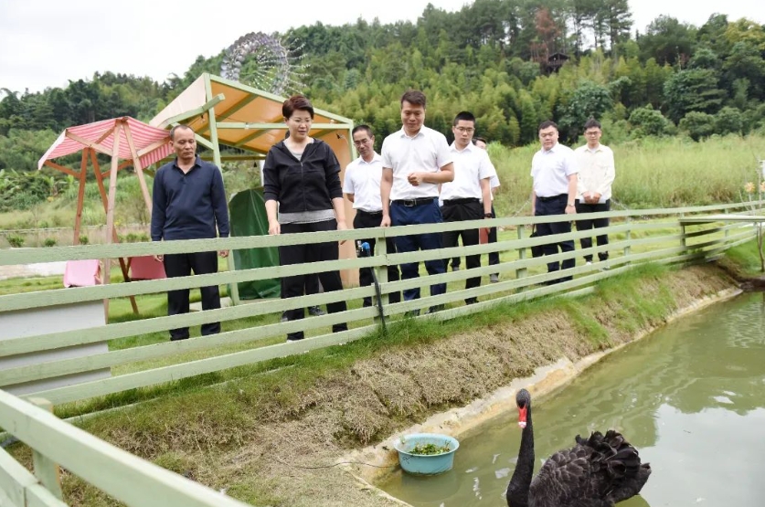 谋思路 强产业 访民情 促发展 县政府主要领导到池园镇开展调研