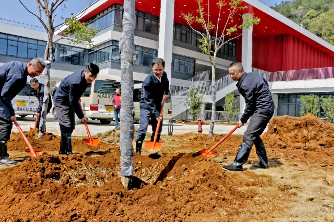 县领导参加义务植树活动