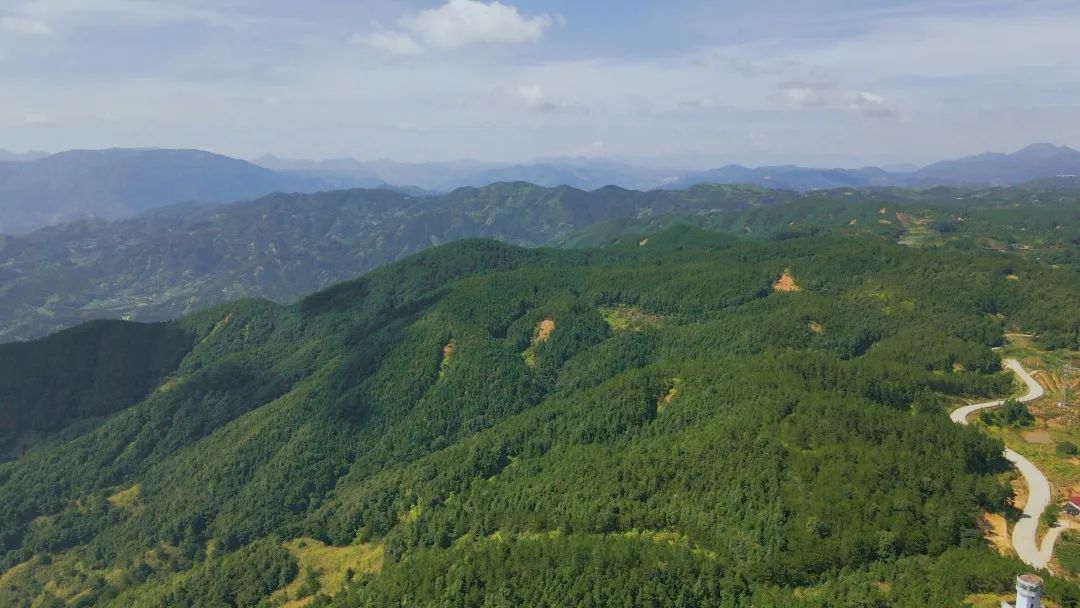 听·见闽清 | 相约柯洋，看那山那水