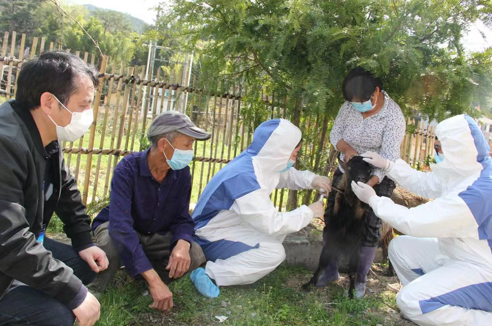 新华社福建·频道关注！闽清贫困户还贷记