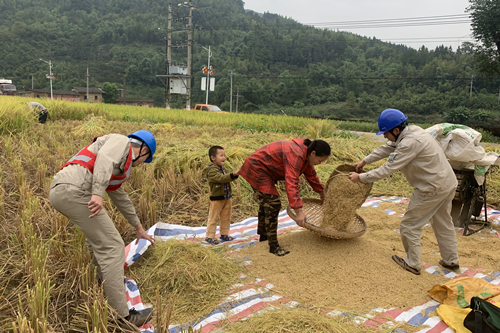 你用电我用心，农民丰收很安心