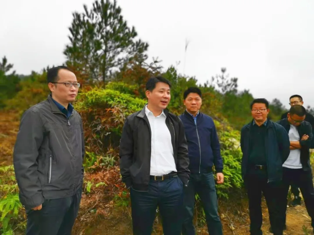 陈忠霖带队前往塔庄、省璜、三溪开展工作调研