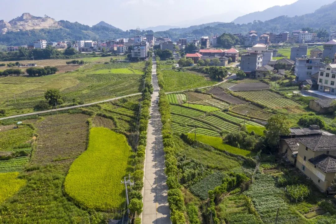 构建交通新格局 绘就闽清新画卷