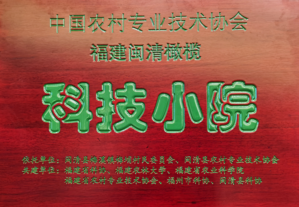 给力！闽清橄榄又新增一荣誉！