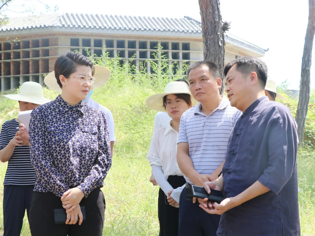 县领导调研重点项目建设情况