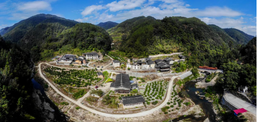 党员带富小山村 群众致富有出路