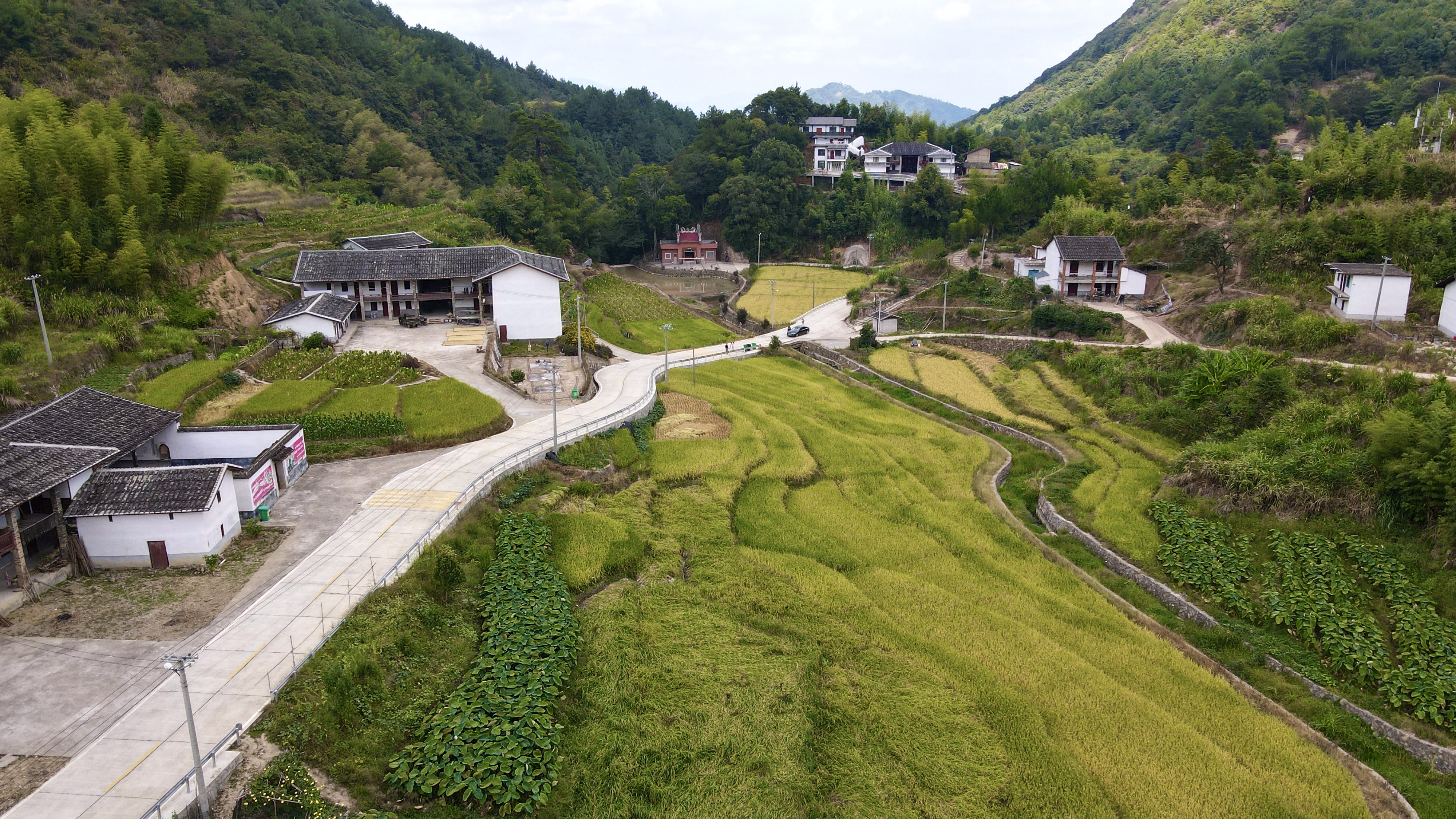 前坪村：红色乡村面貌新 秋来山村风景好