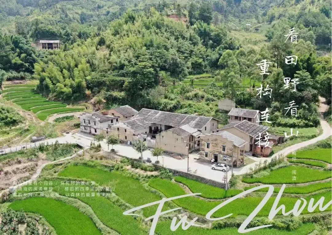 海归青年：打造“中国归谷” 助力乡村振兴