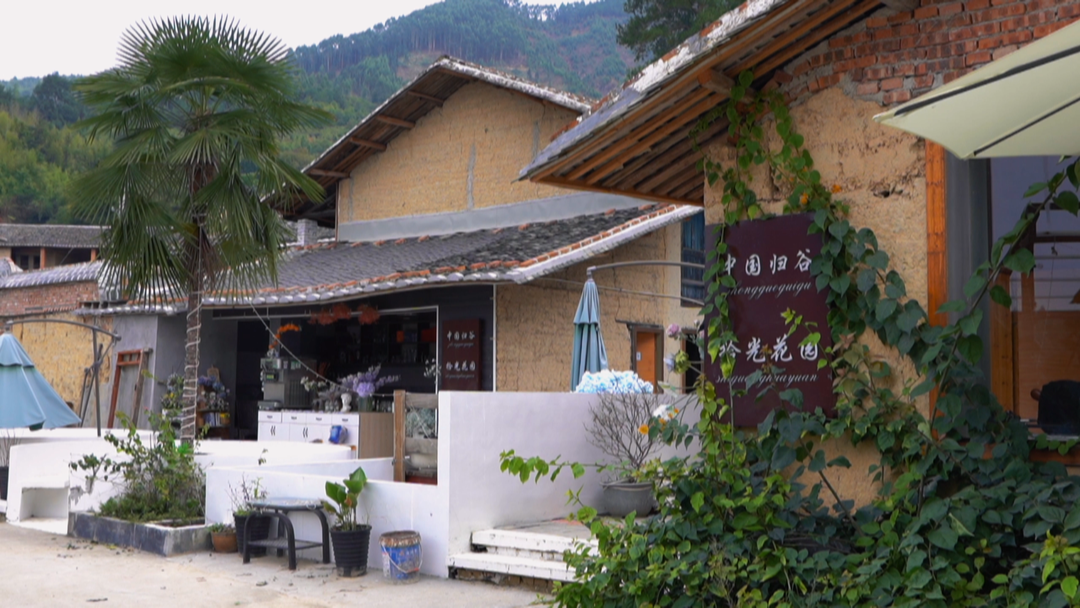 海归青年：打造“中国归谷” 助力乡村振兴