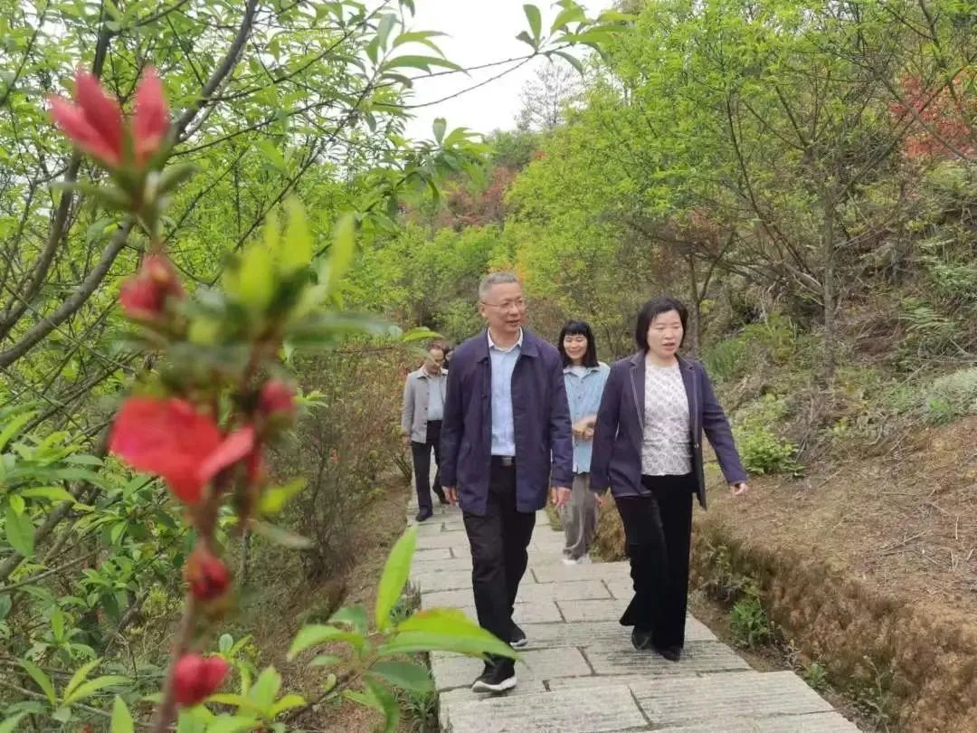 昨日，闽清这里来了一群市里的朋友～