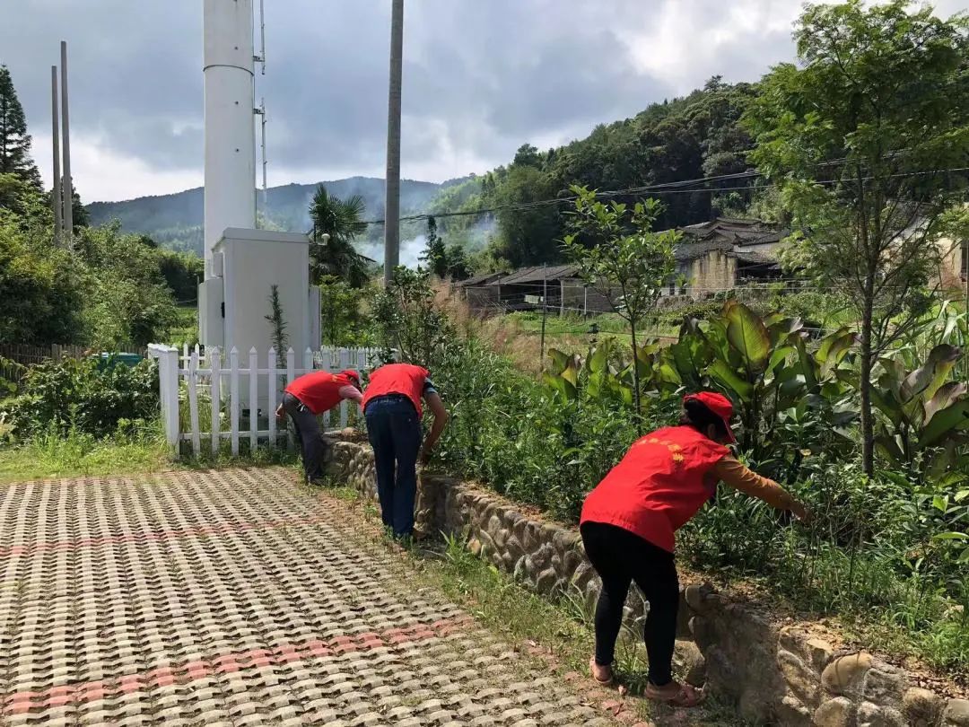 环境整治齐发力 乡村振兴有活力