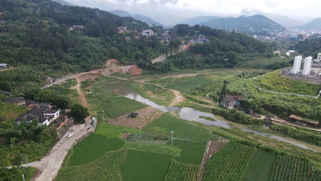 乡村振兴看闽清 | 开发荒废地 种上致富果