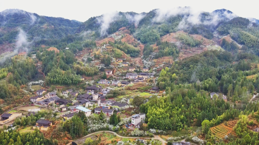 乡村网红引客来！闽清下祝的乡村振兴新力量~