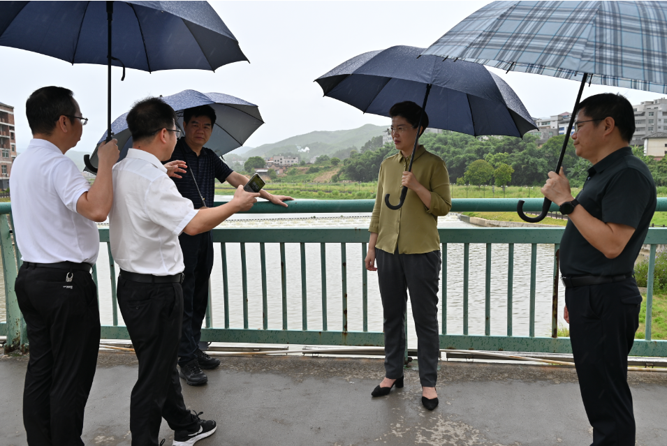 县政府主要领导深入一线检查防台防汛工作