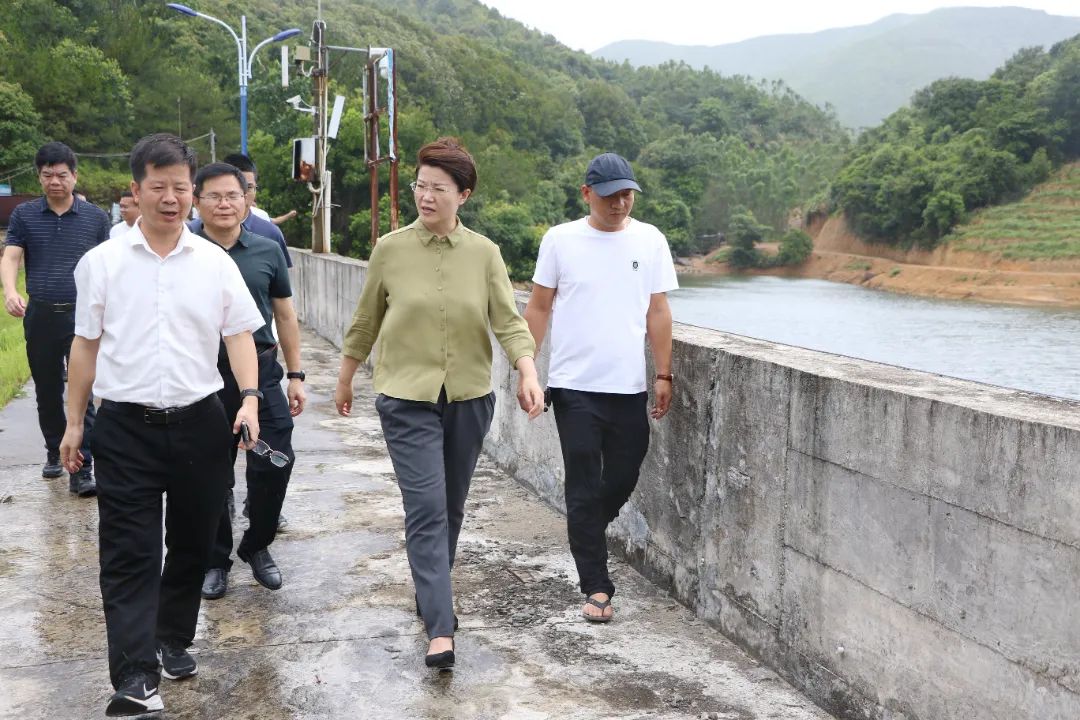 县政府主要领导深入一线检查防台防汛工作