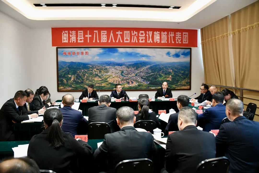 聚焦两会 | 县人大代表分组审议县政府工作报告