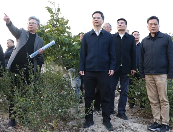 县委主要领导调研轨道交通项目规划建设工作