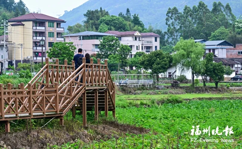 【福州晚报关注】闽清山边村：活用古厝 点“金”赋能