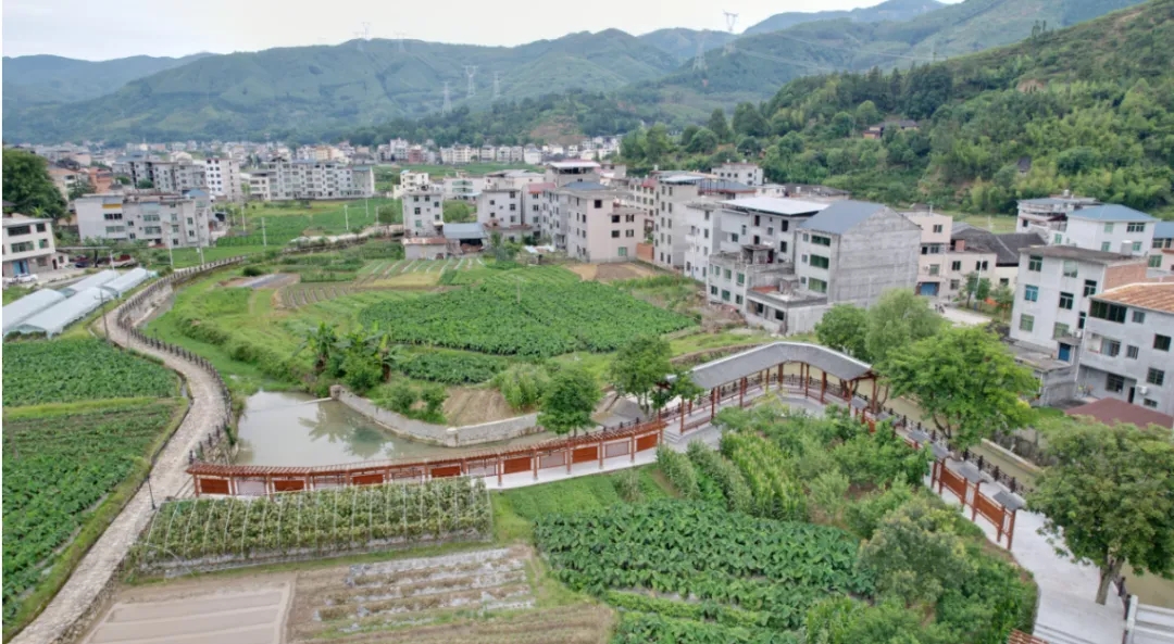 【海峡网关注】闽清县塔庄镇绿盈乡村建设：桃花园里可耕田