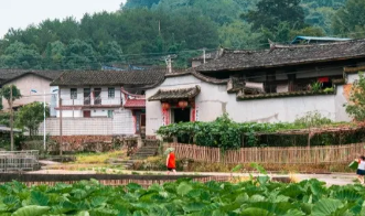 夯基铸魂 建强堡垒丨梅溪镇：深化堡垒建设，凝聚发展力量