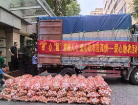 “橙”心“橙”意暖人心，爱心助农显真情！