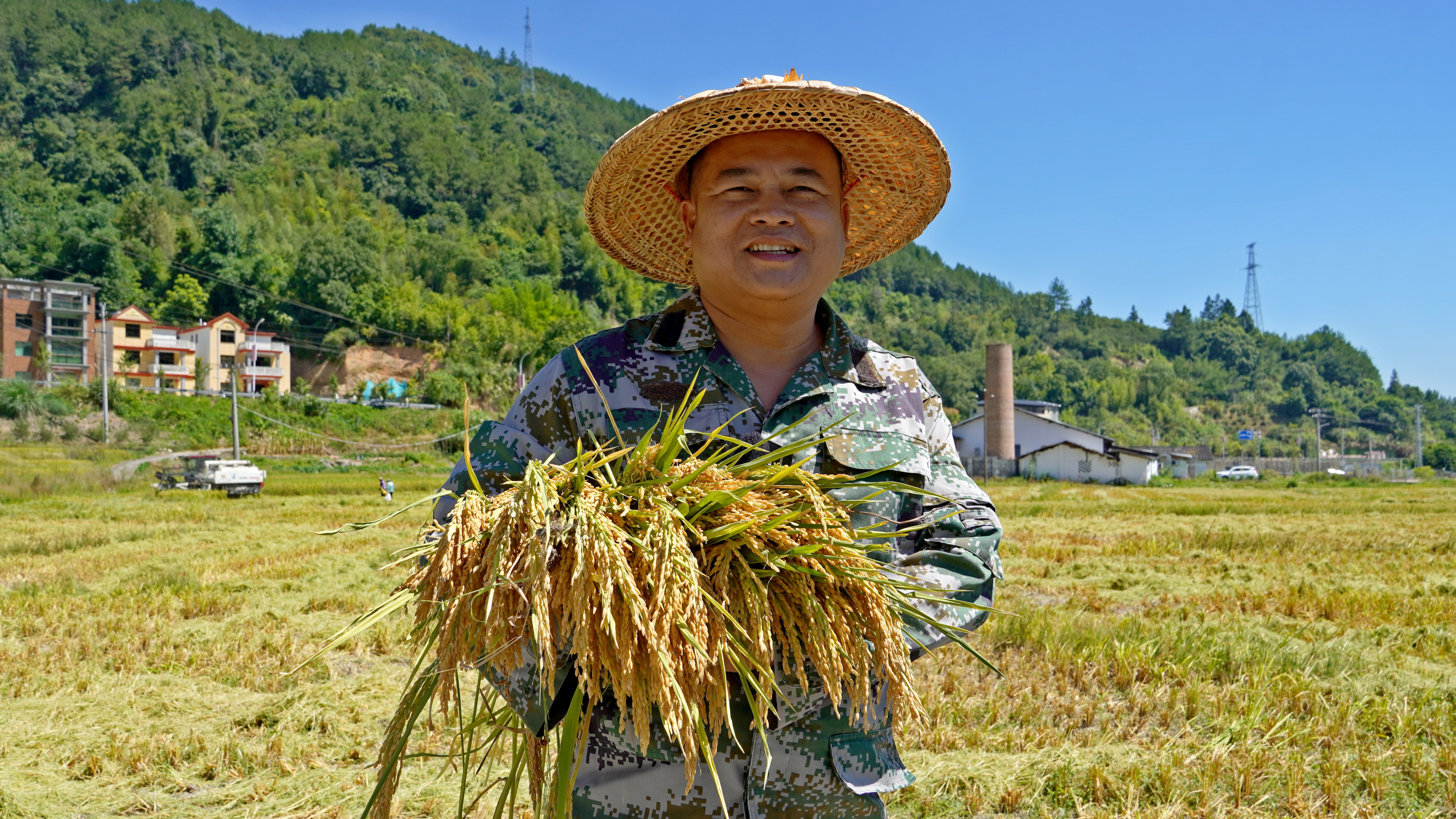 丰收时节看闽清 | 夏粮收割忙 奏响“丰收曲”