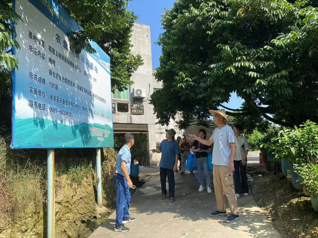  乡村振兴看闽清 | 科技下乡 助农增产增收