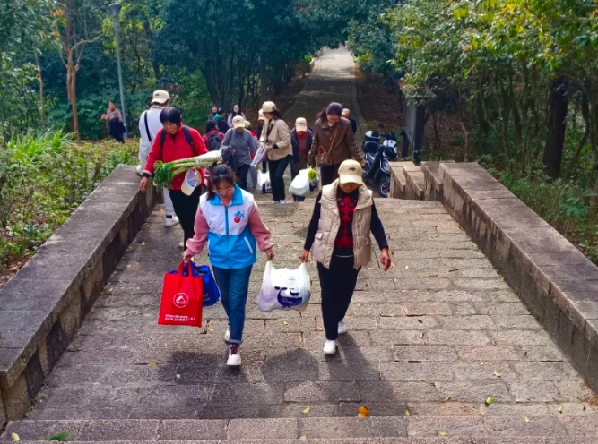 闽清：登山悦春光 健康伴我行