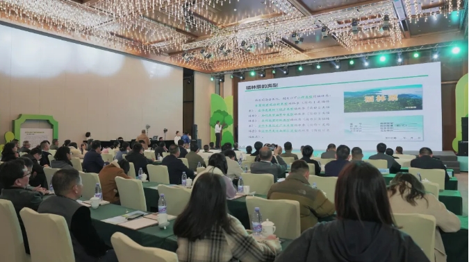 闽清县福林票首发仪式举行